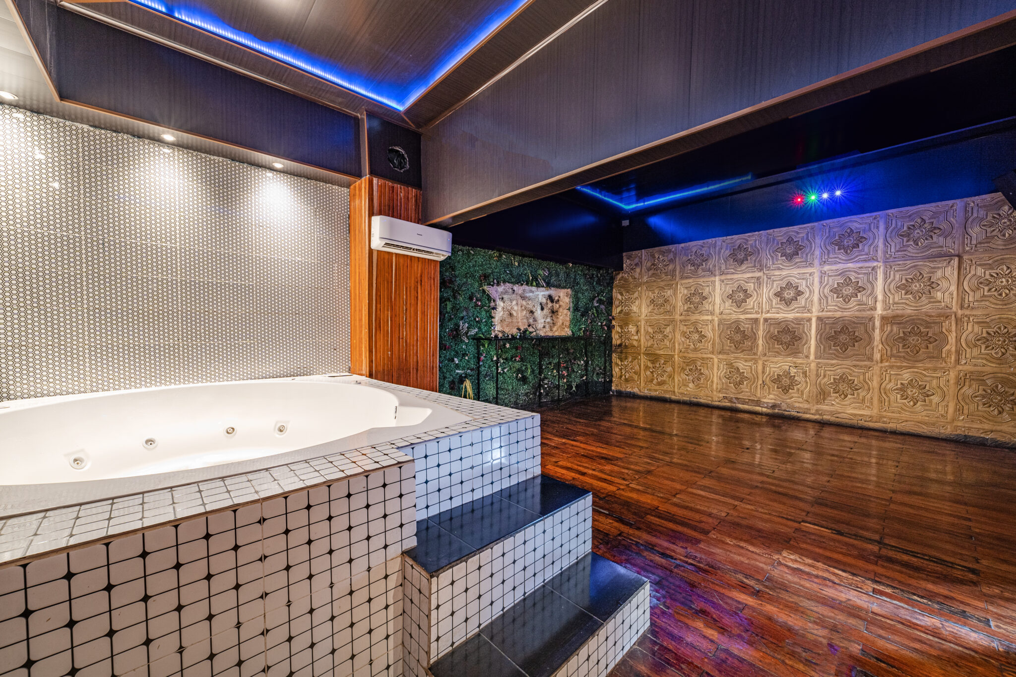 Private Disco with Jacuzzi